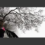 天门雪景7