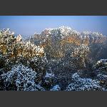 黄石寨春雪