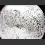 梦里雪乡