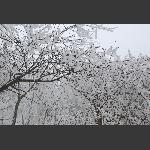 梦里雪乡