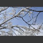 梦里雪乡