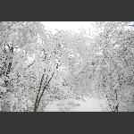 梦里雪乡