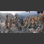 雪域峰林