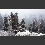 天子山雪景