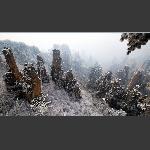 天子山雪景