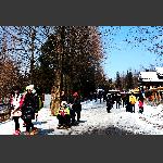 踏雪