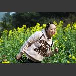 油菜开花黄又黄
