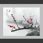 孤鸟赏梅