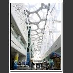 晶莹剔透水立方