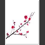 又见桃花开1