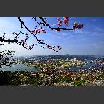 庸城春色2