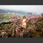 花仙