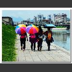 踏春归来