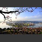 山城春色