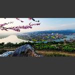 春满张家界--东城