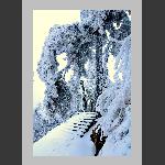 林海雪源