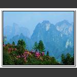 点缀青山