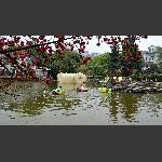 子午之春