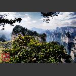 鹞子寨组照《峰林竞秀》