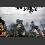 鹞子寨组照《峰林竞秀》