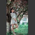 樱花之恋