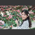 樱花之恋