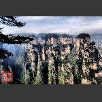 鹞子寨组照《峰林竞秀》