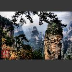 鹞子寨组照《峰林竞秀》