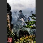 鹞子寨组照《峰林竞秀》