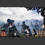 鹞子寨组照《峰林竞秀》