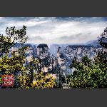 鹞子寨组照《峰林竞秀》
