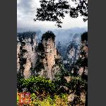 鹞子寨组照《峰林竞秀》