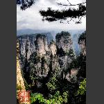 鹞子寨组照《峰林竞秀》