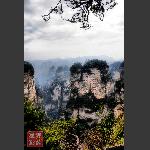 鹞子寨组照《峰林竞秀》