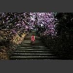 春