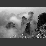云雾天子山