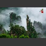 云雾天子山2