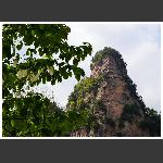 鸽子花开张家界