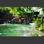 王家坪
