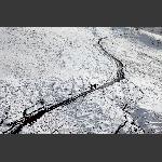 雪地