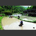 春耕图4