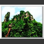 与青山同在