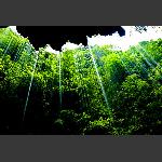 瀑雨淋