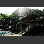 乡村景色