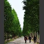 乡村马路