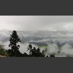 雾海