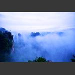 千层岩-1