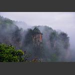 千层岩-2