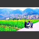 禾家村