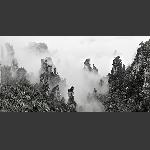 画意天子山